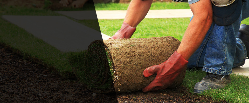 Modena Landscapers